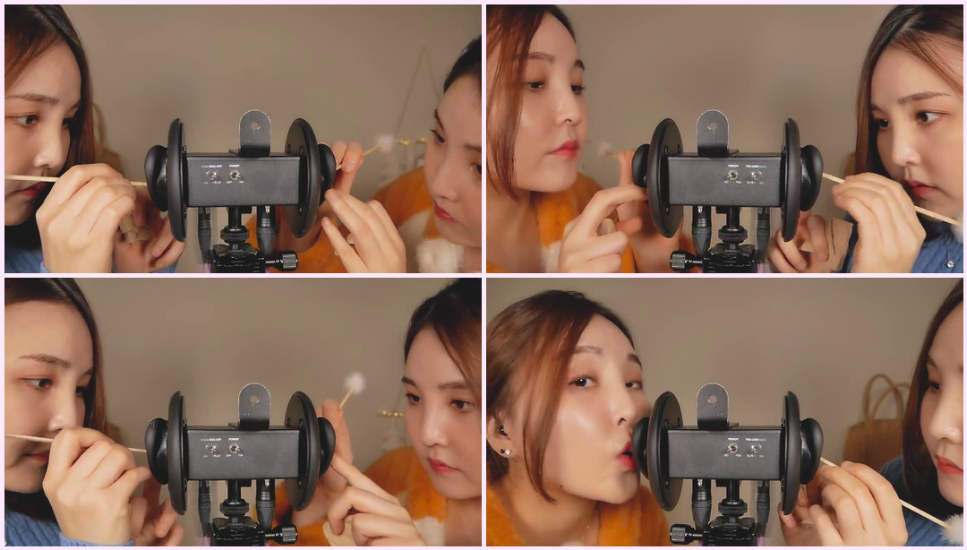 Crunchy Ear Cleaning 2020 ver.｜Twins ASMR 双胞胎Asmr ASMR视频